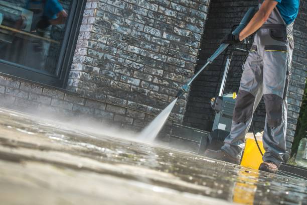 Best Sidewalk and Walkway Cleaning  in Egypt Lake Leto, FL