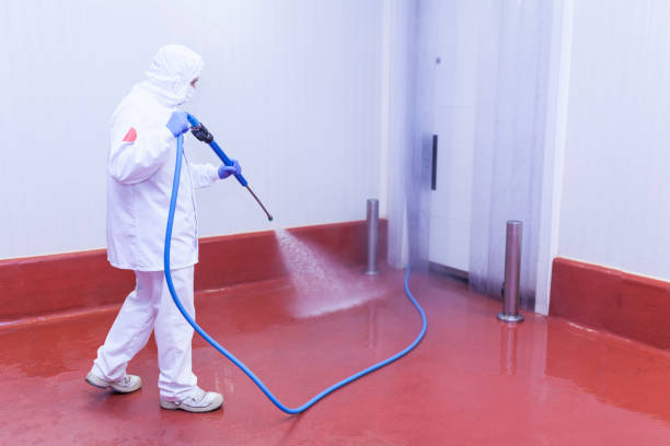 Best Restaurant Pressure Washing  in Egypt Lake Leto, FL