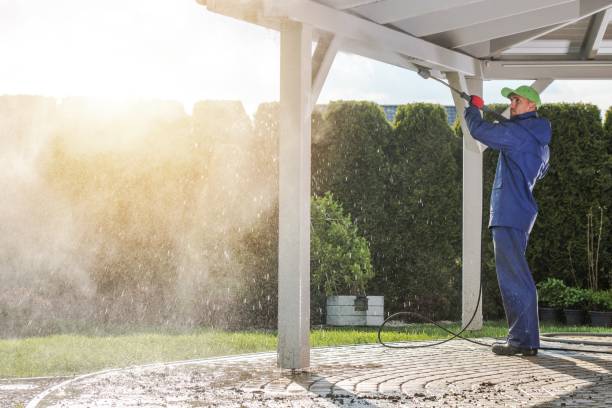 Best Gutter Cleaning  in Egypt Lake Leto, FL